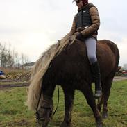 Sidste dag på Stigur:´(