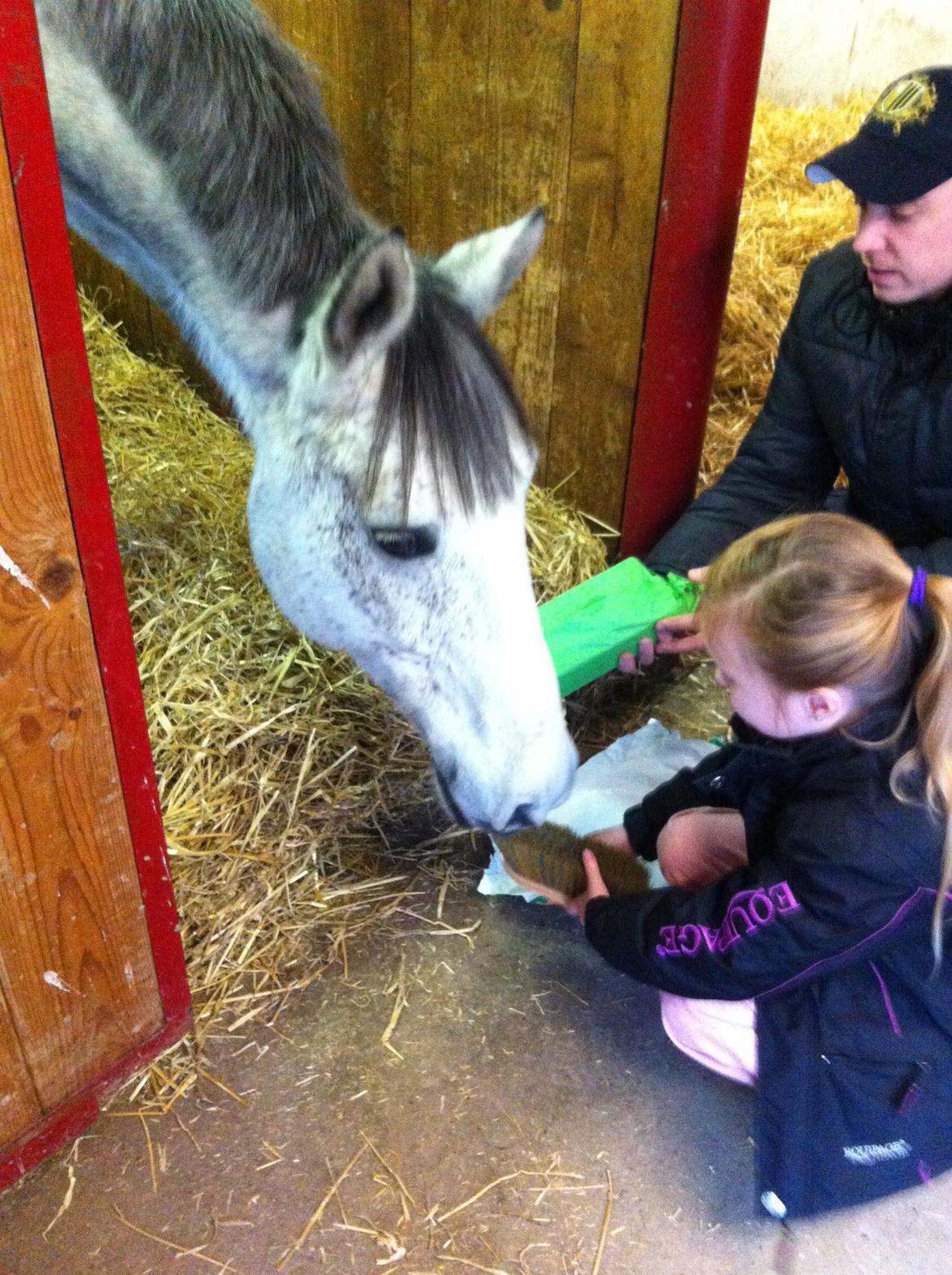 Jul og nytår 2013 - Så er der julegave til ponyen, smil.. :) billede 5