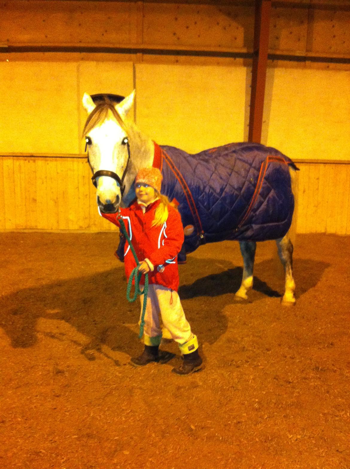 Jul og nytår 2013 billede 1