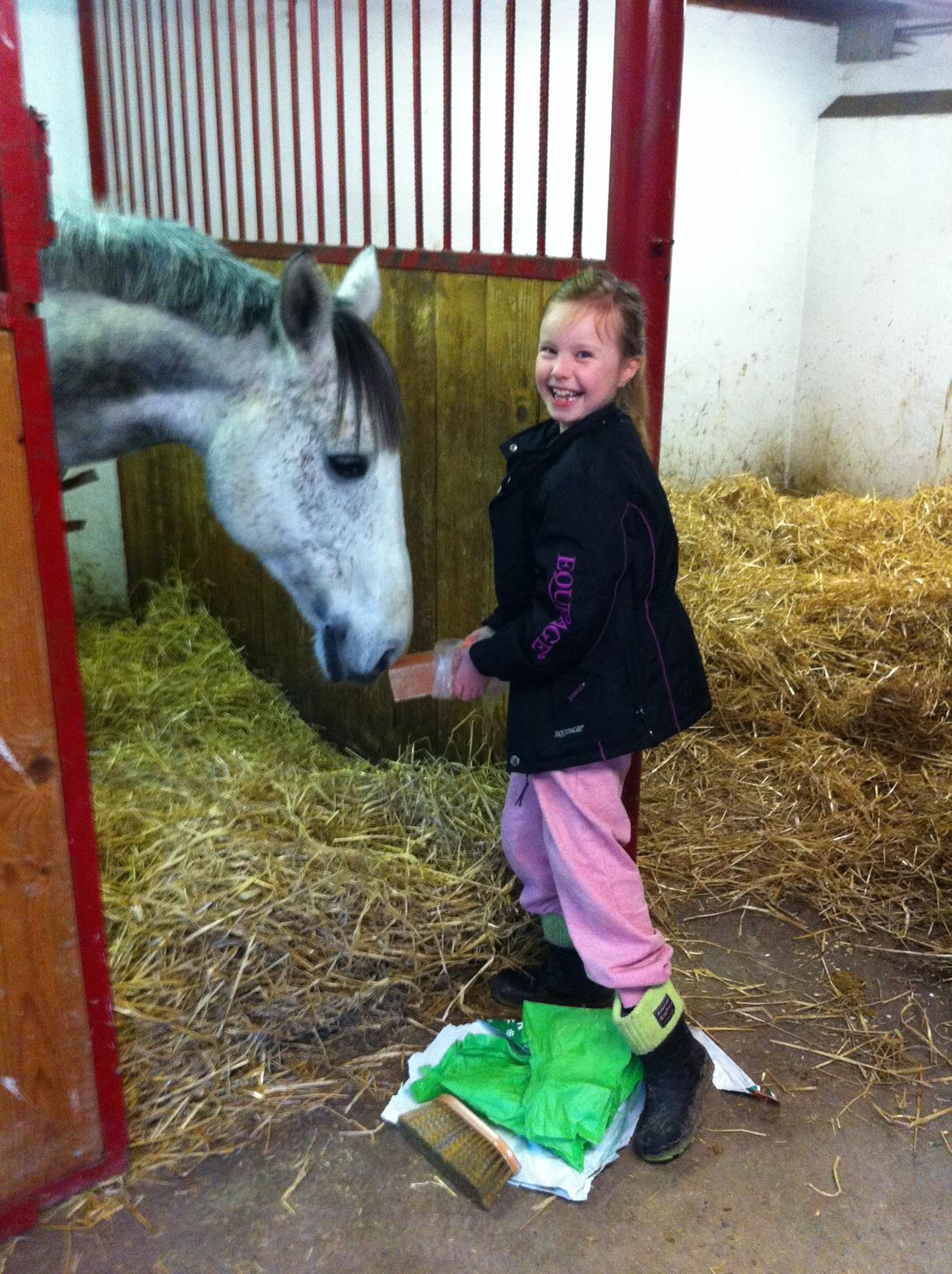 Jul og nytår 2013 billede 4