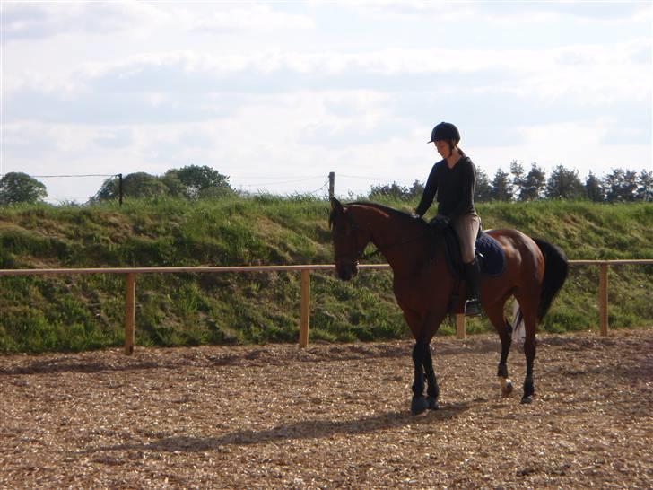 Fanta - Min nye hest.. :D billede 9