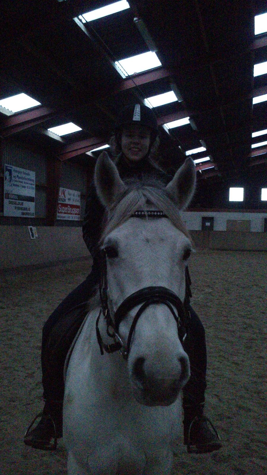Min Første pony Blondie billede 8
