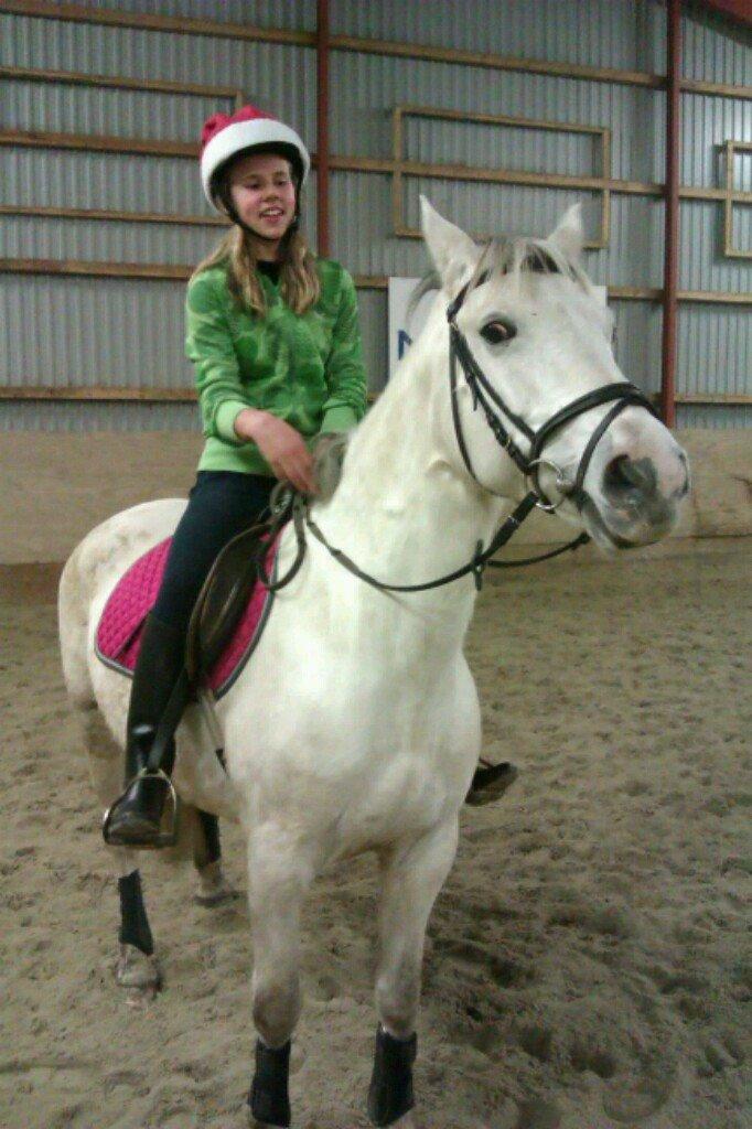 Min Første pony Blondie billede 7