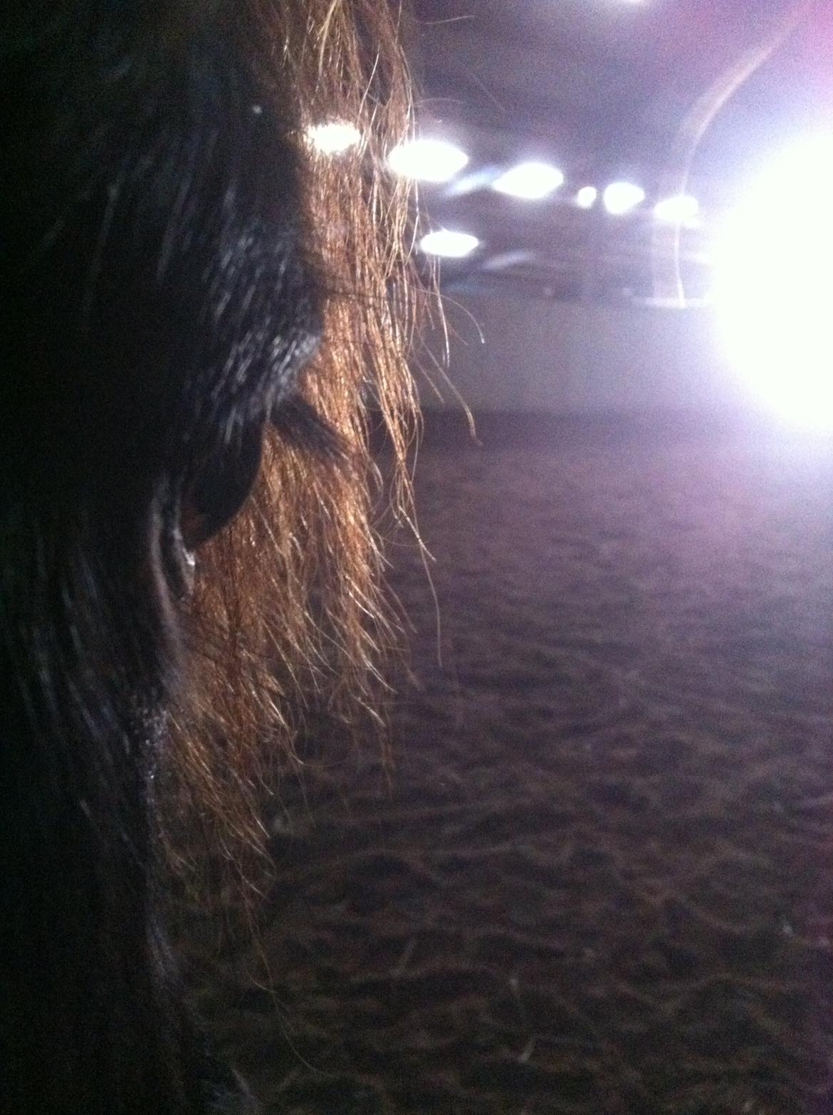 Close-up Billeder billede 13