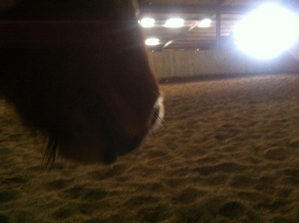 Close-up Billeder billede 5