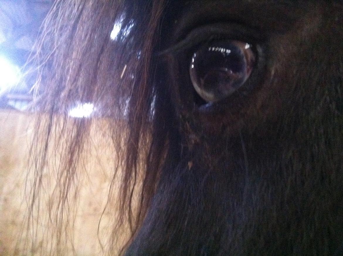 Close-up Billeder billede 1