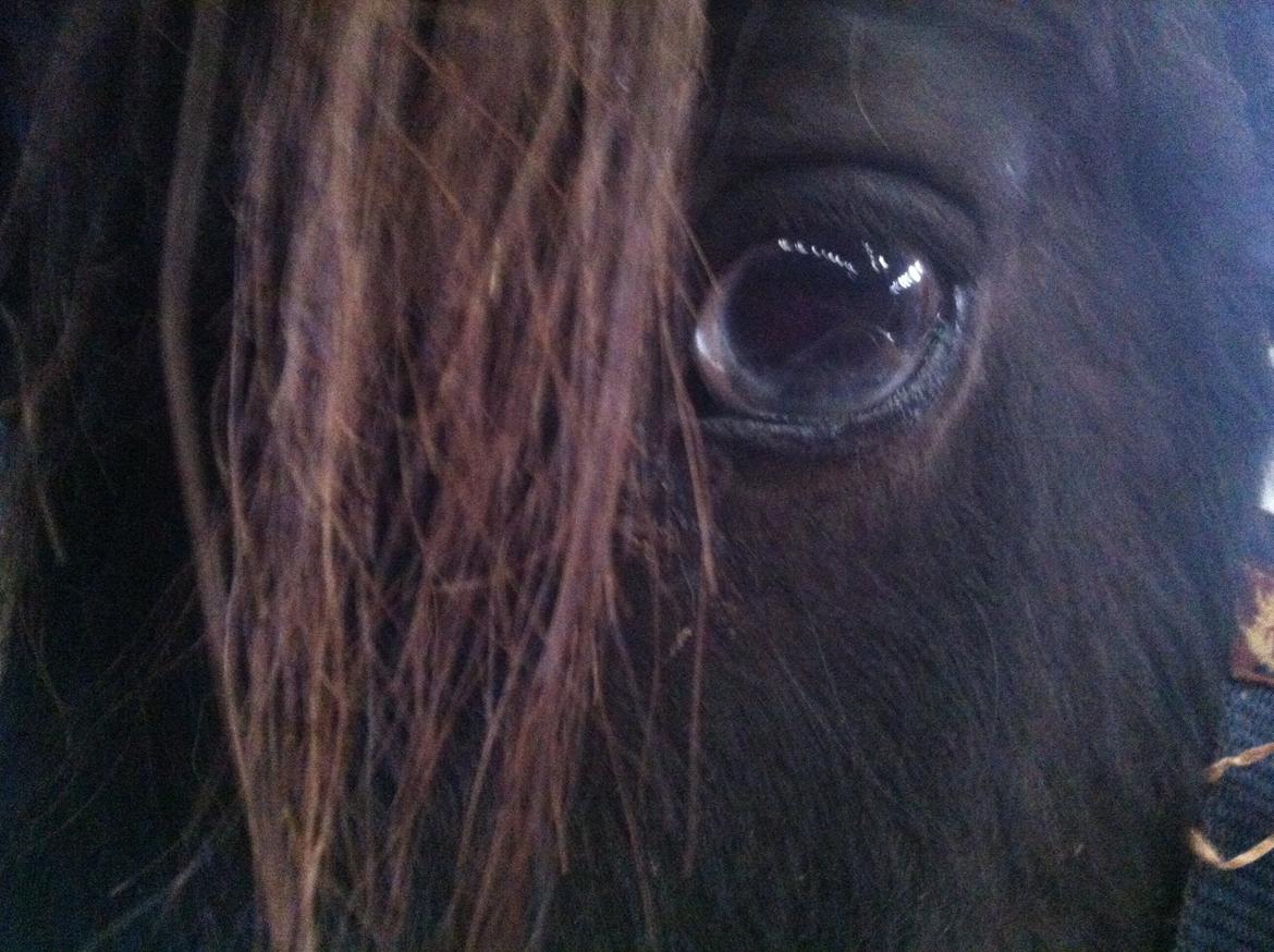 Close-up Billeder billede 2