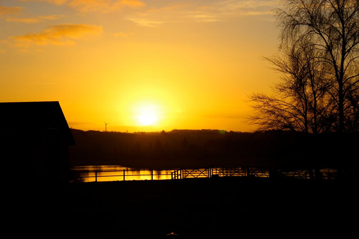 Stald Tougaard billede 13