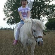 plejehjemmet for små ponyer og æsler. ingen videreformidling