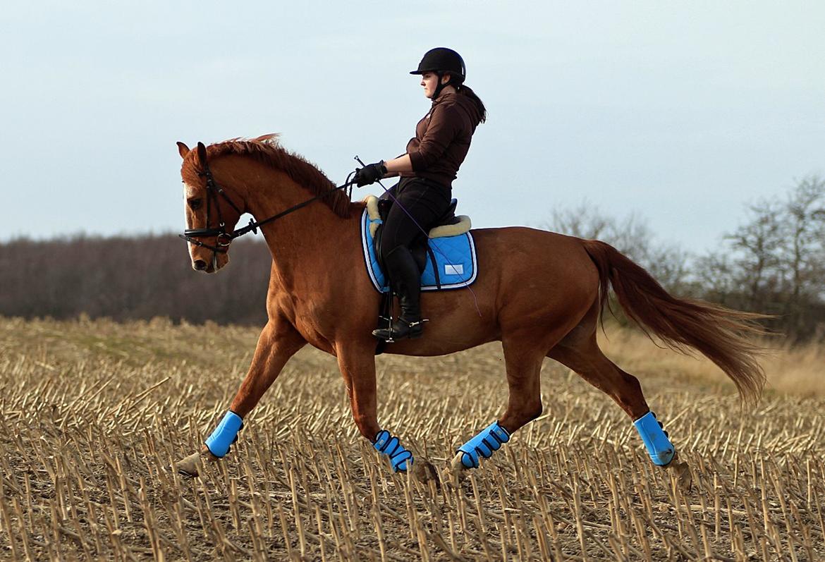 Nogen af mine sæt :) - Mit lækre nye RBH sæt fra Forår 2014 :) billede 1