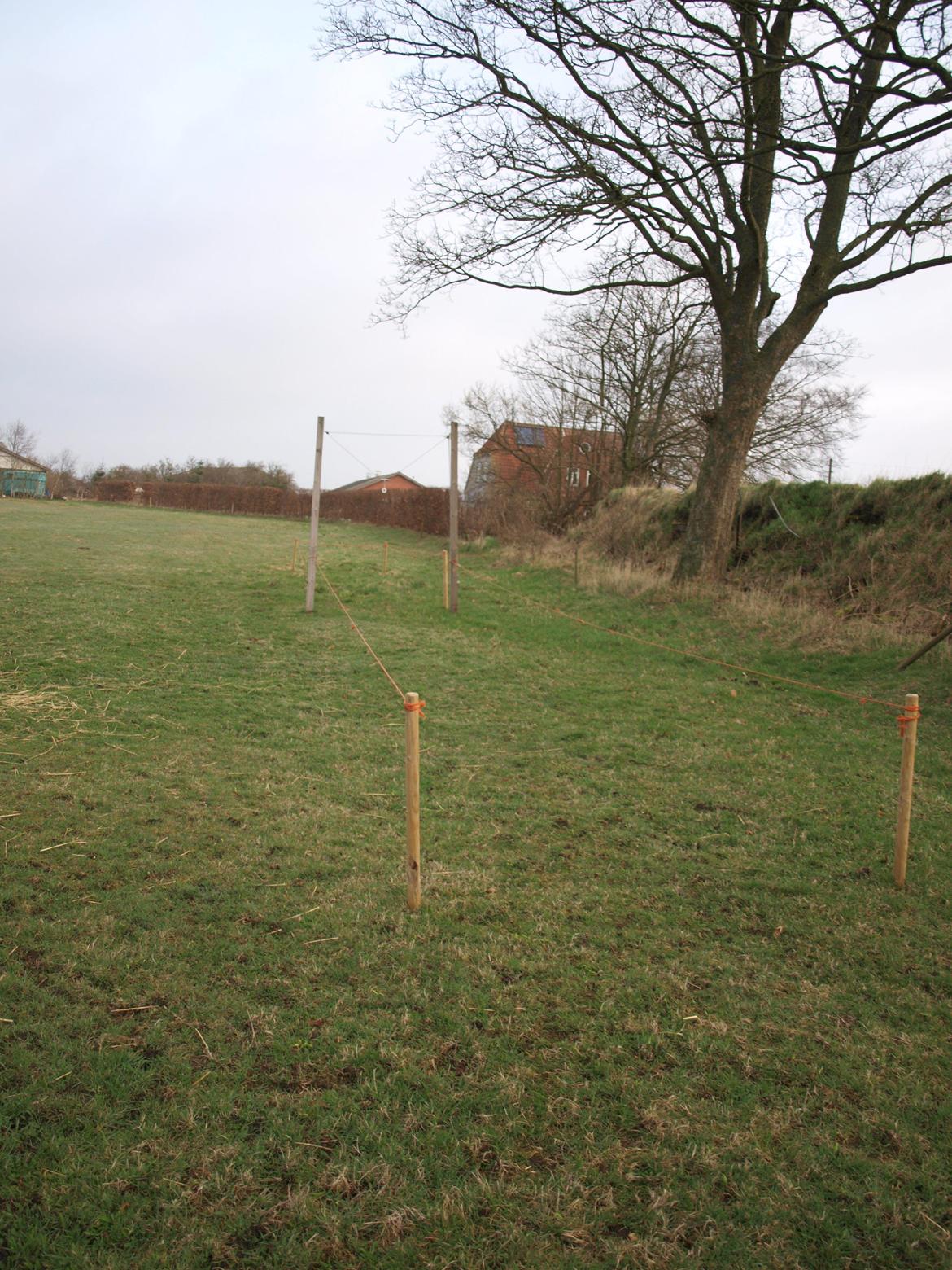 galge til ringridning billede 1