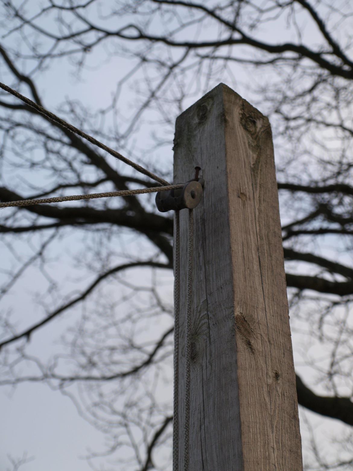 galge til ringridning billede 6