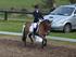 Min gamle pony Meldgaardens Lady Diamond