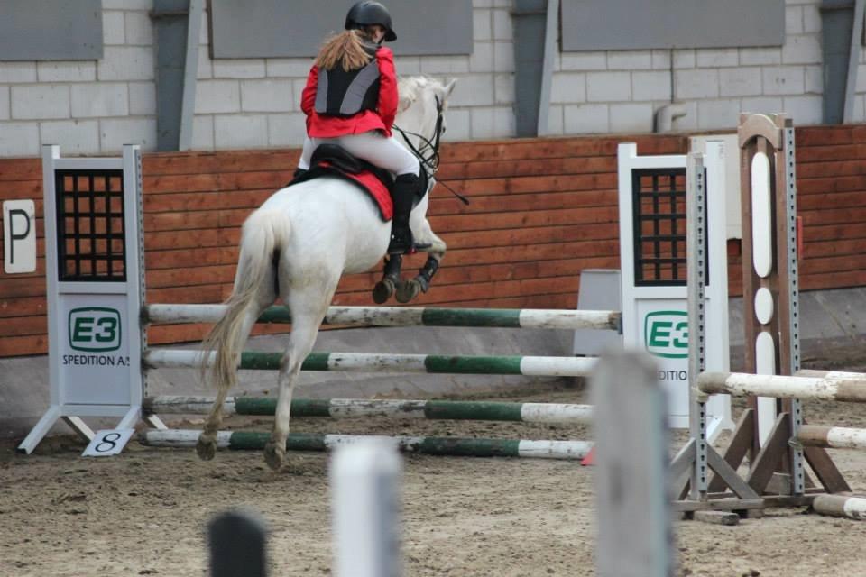 Gråsten rideskole D.23-3-2014 billede 4