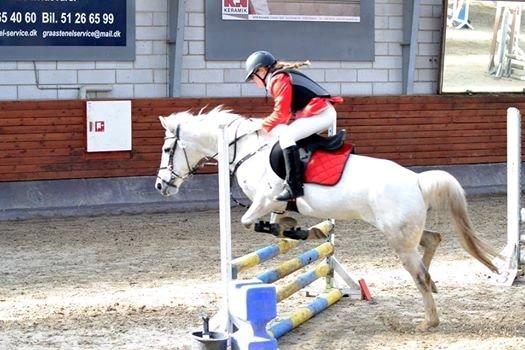 Gråsten rideskole D.23-3-2014 billede 3