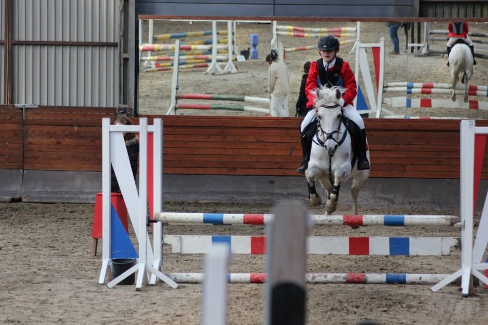 Gråsten rideskole D.23-3-2014 billede 5