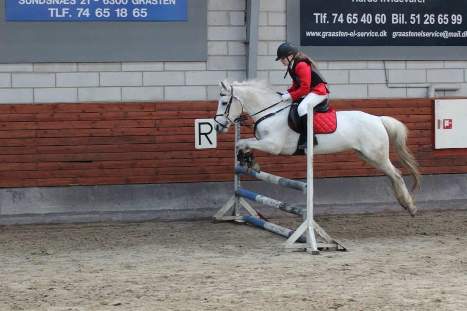 Gråsten rideskole D.23-3-2014 billede 7