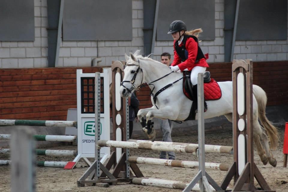 Gråsten rideskole D.23-3-2014 billede 8