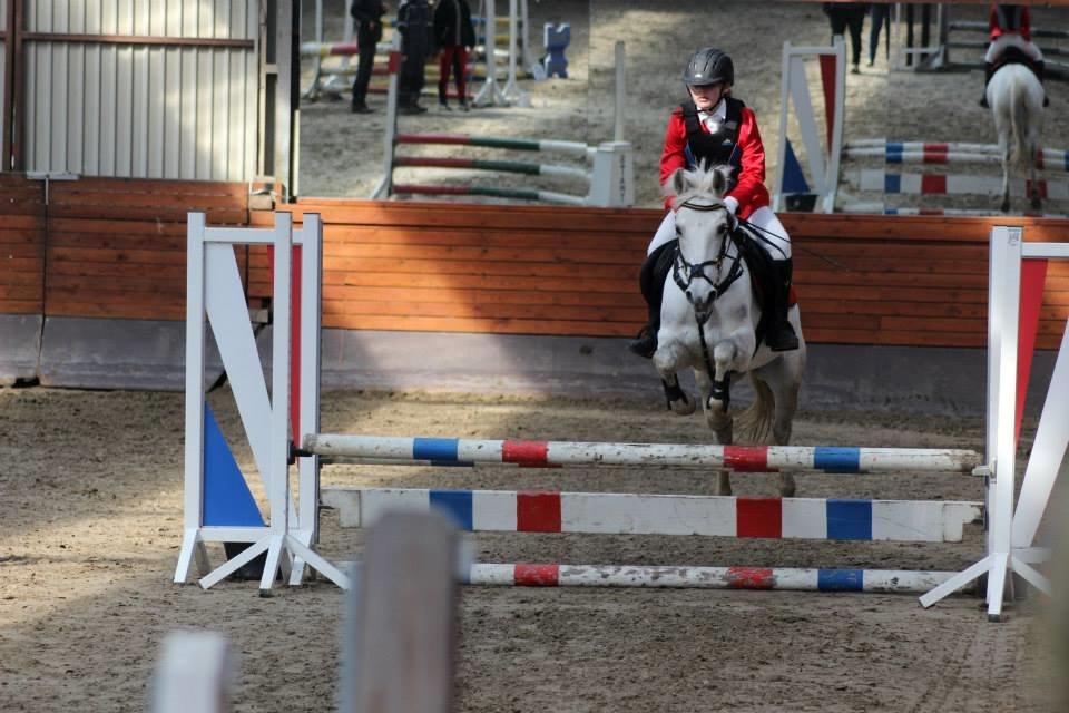 Gråsten rideskole D.23-3-2014 billede 9