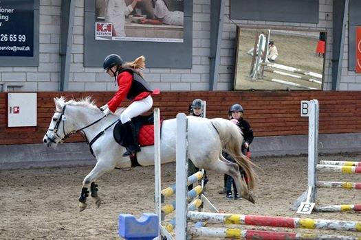 Gråsten rideskole D.23-3-2014 billede 11