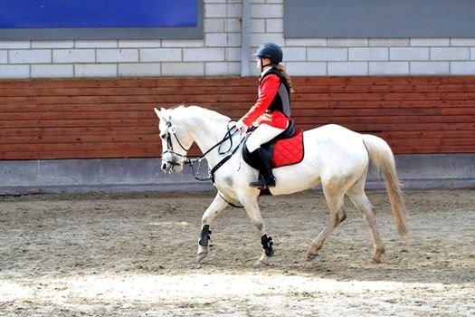 Gråsten rideskole D.23-3-2014 billede 2