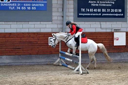 Gråsten rideskole D.23-3-2014 billede 12