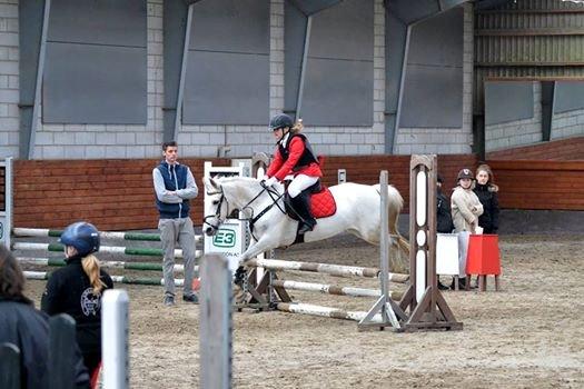 Gråsten rideskole D.23-3-2014 billede 13