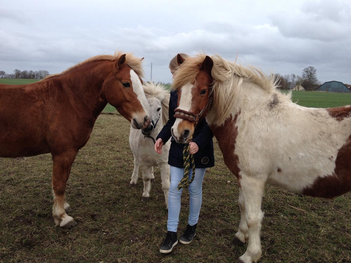 RIP Grøn Tuborg billede 2