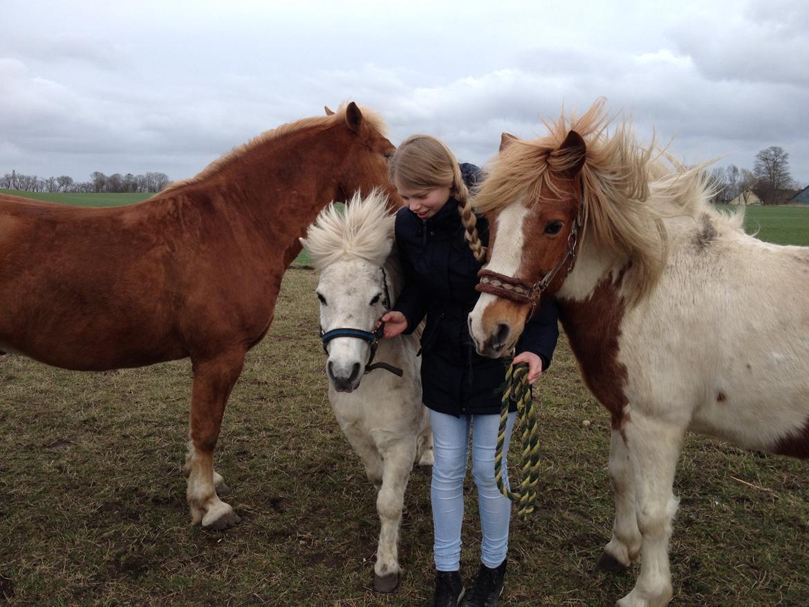 RIP Grøn Tuborg billede 3