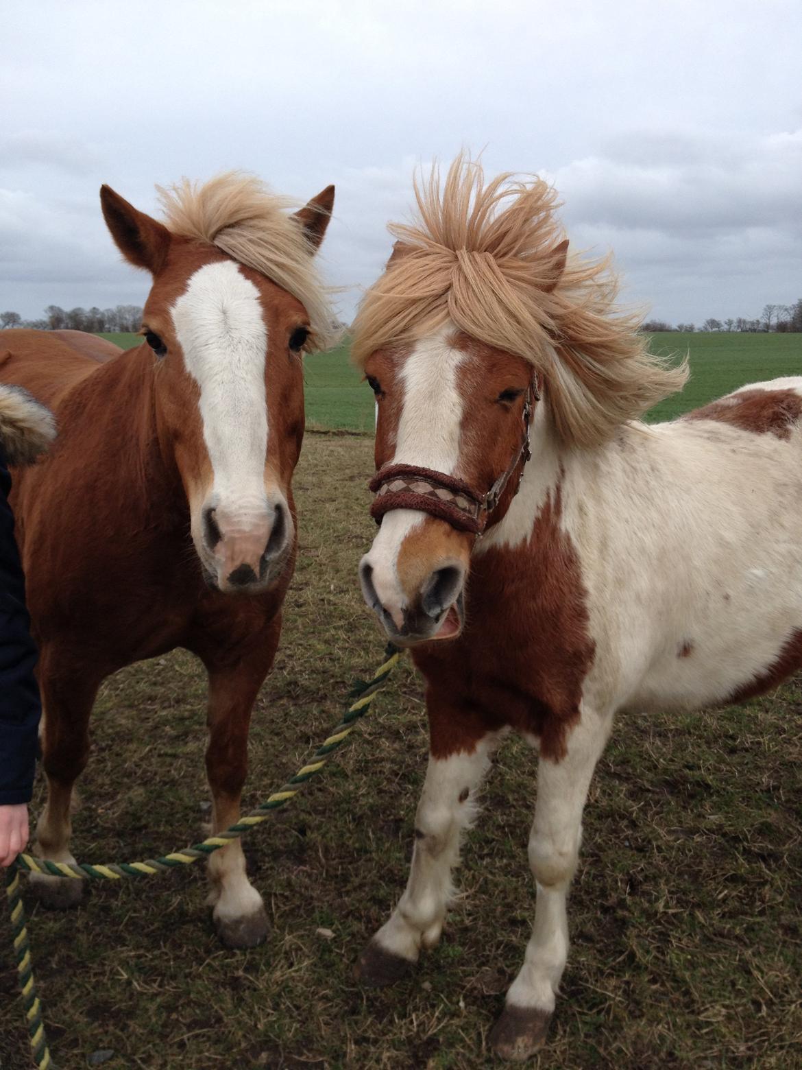 RIP Grøn Tuborg billede 5