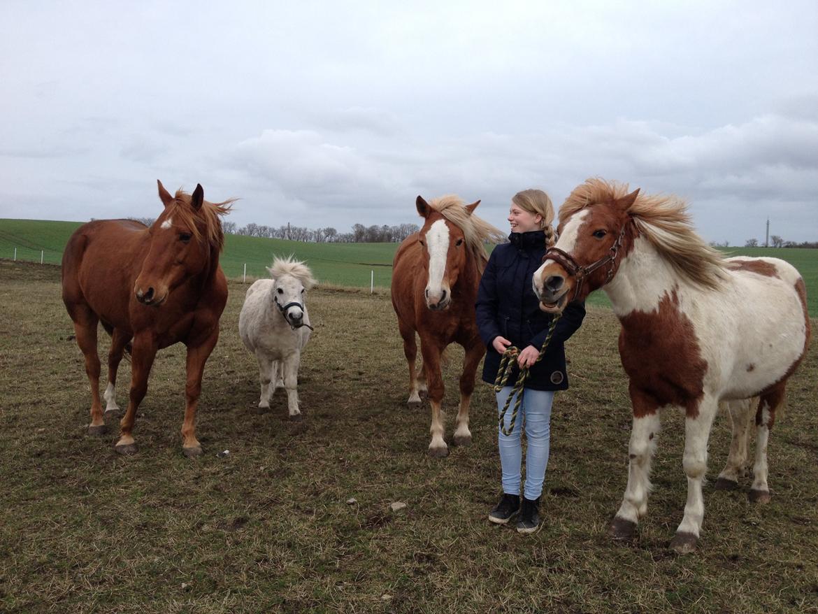 RIP Grøn Tuborg billede 6