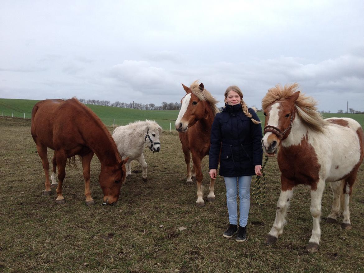 RIP Grøn Tuborg billede 7