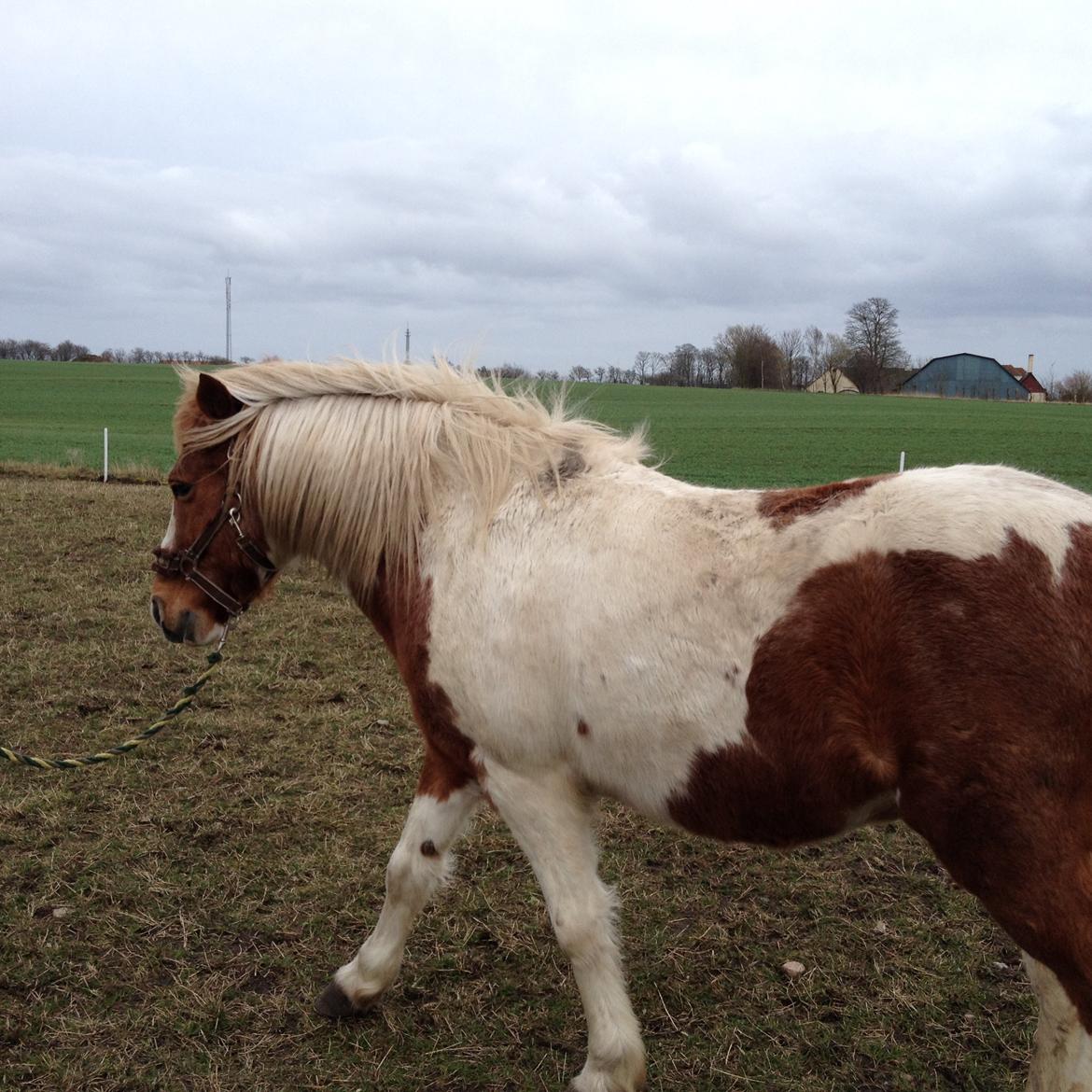 RIP Grøn Tuborg billede 12