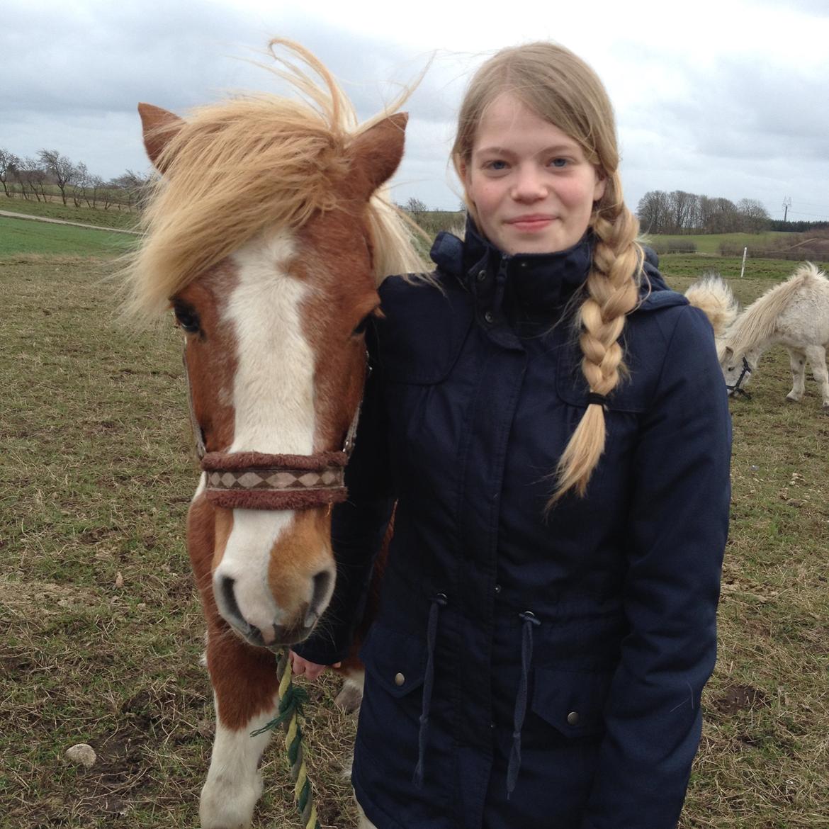 RIP Grøn Tuborg billede 15