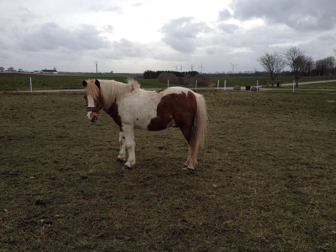 RIP Grøn Tuborg billede 19