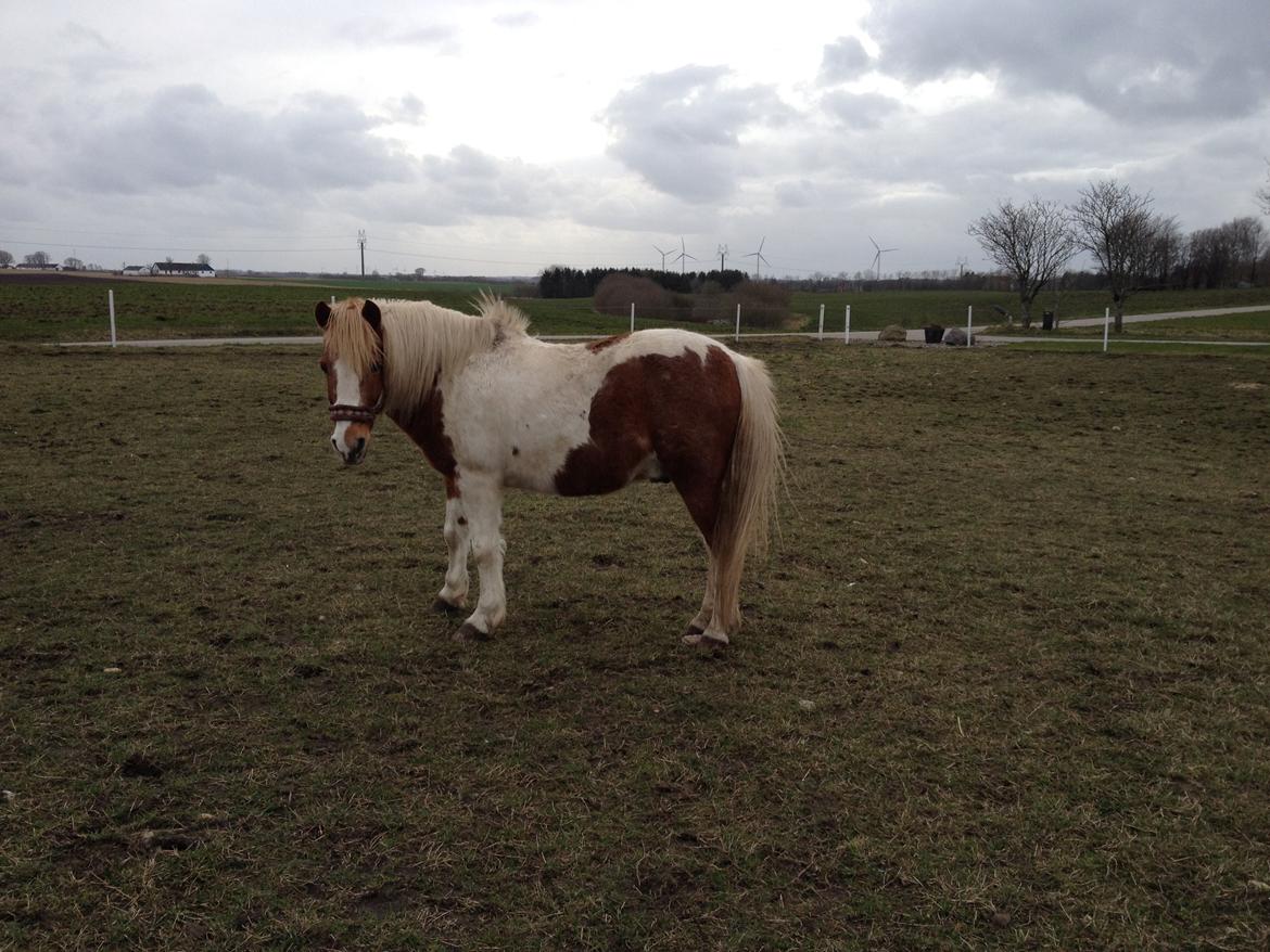 RIP Grøn Tuborg billede 20