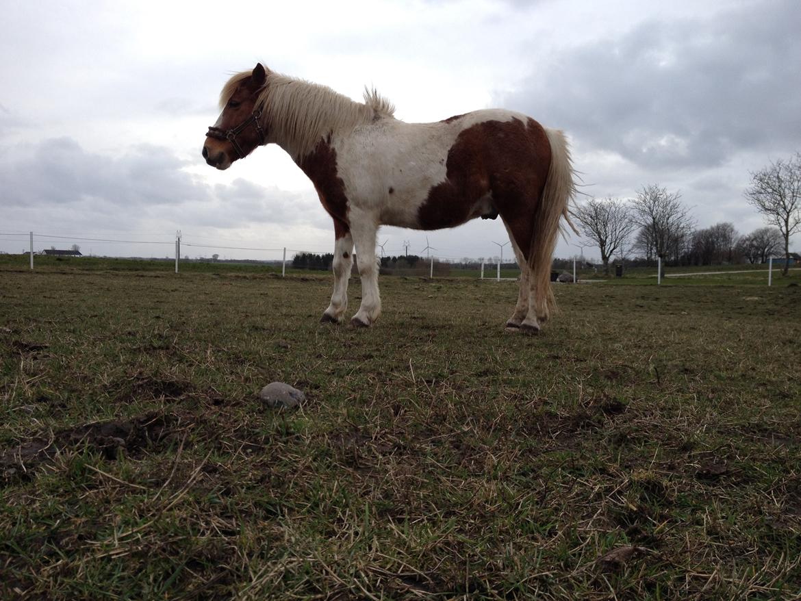 RIP Grøn Tuborg billede 21