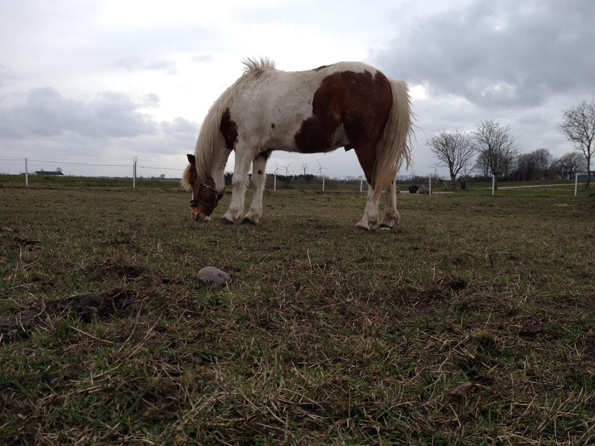 RIP Grøn Tuborg billede 22