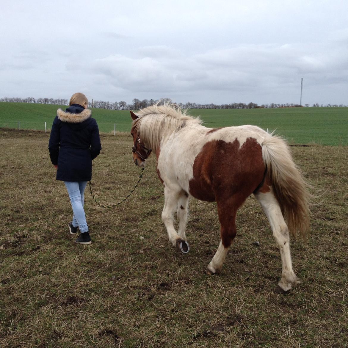 RIP Grøn Tuborg billede 14