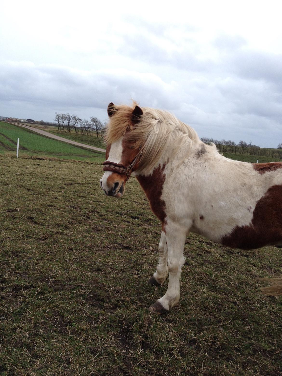 RIP Grøn Tuborg billede 28