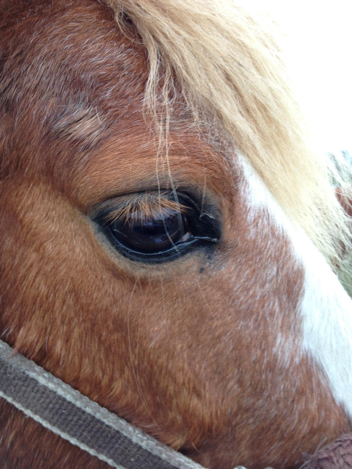 RIP Grøn Tuborg billede 31