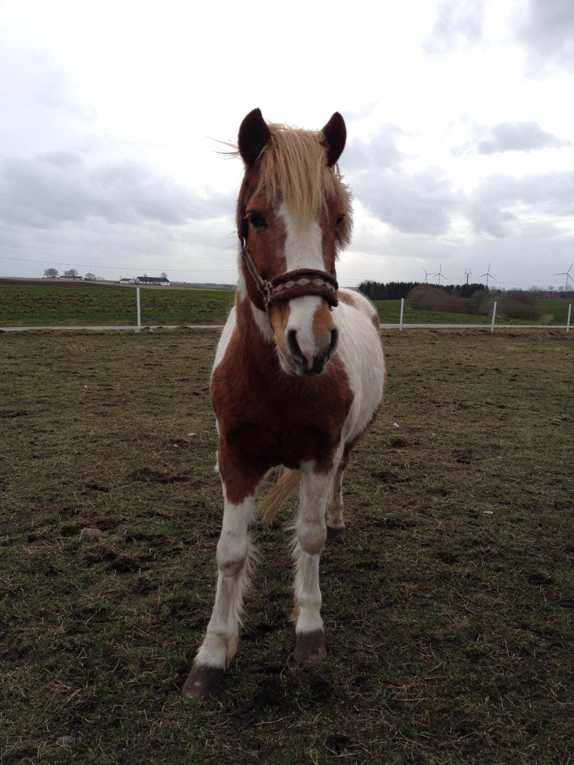 RIP Grøn Tuborg billede 34