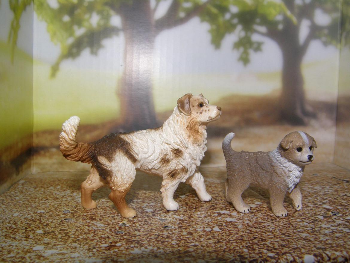 Mine Schleich Dyr - Navn: Nellie Race: Austalsk Shepperd. Køn: Tæve. Alder: 2 år. Navn:? billede 168