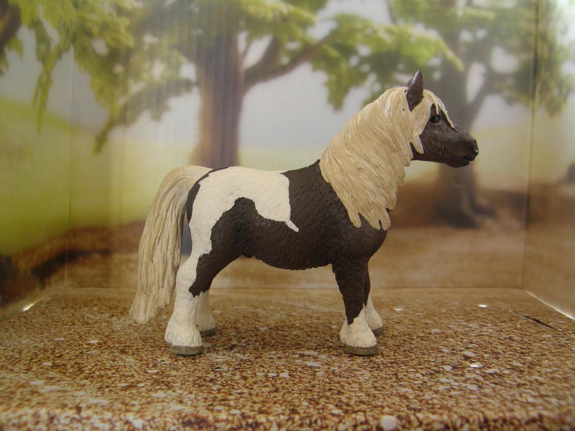 Mine Schleich Dyr - Navn: Mushroom Goerge. Race: Shetlænder. Køn: Vallak. Alder: 5 år billede 171