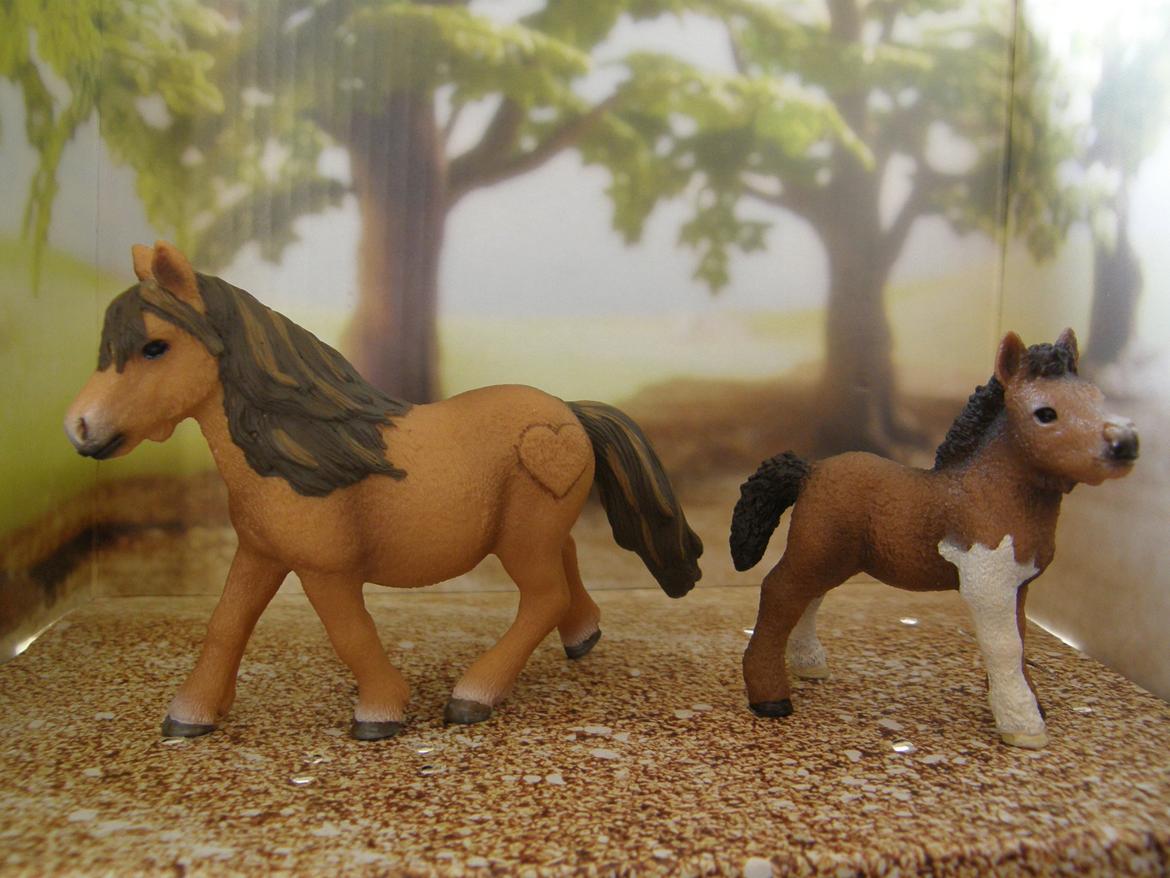 Mine Schleich Dyr - Navn: Pixiline. Race: Shetlænder. Køn: Hoppe. Alder: 10 år. Navn: Hindbærgårdens Butterfly. Race: Shetlænder. Køn: Hingst. Alder: 4 mdr. Stamtavle: Mor: Pixiline. Far: Mushroom Goerge billede 172