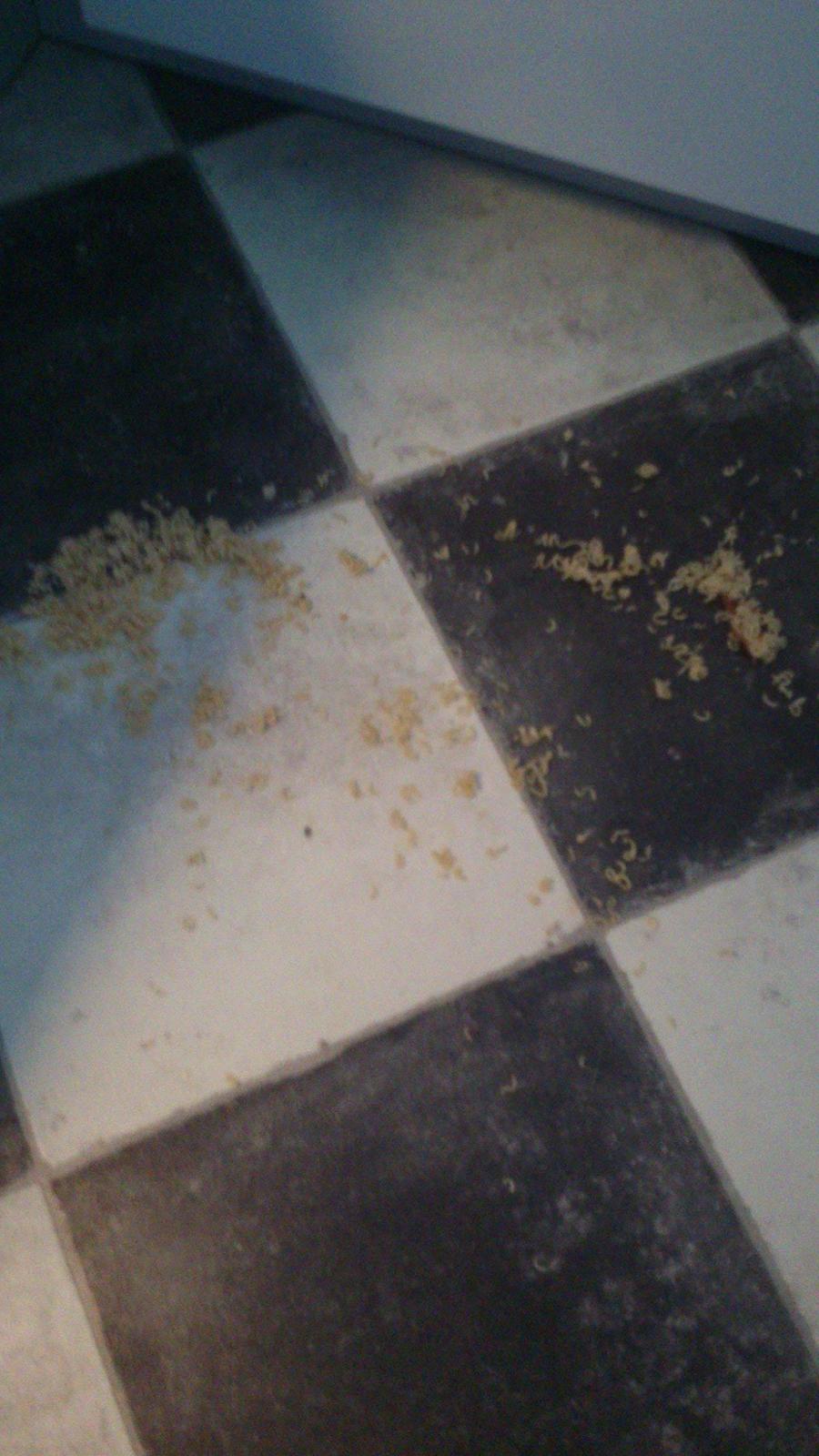 underligt mad  - jeg var så skide sulten at jeg nærmest faldt om på gulvet med tårre ned af kinden da jeg tabte de her ny lavet nudler på gulvet :/ øv øv øv  billede 6