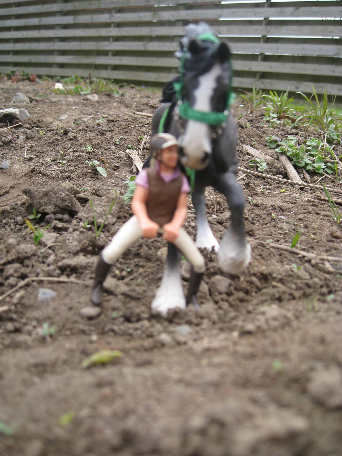 [Schleich] Shire Volume - Mig & Volume billede 7