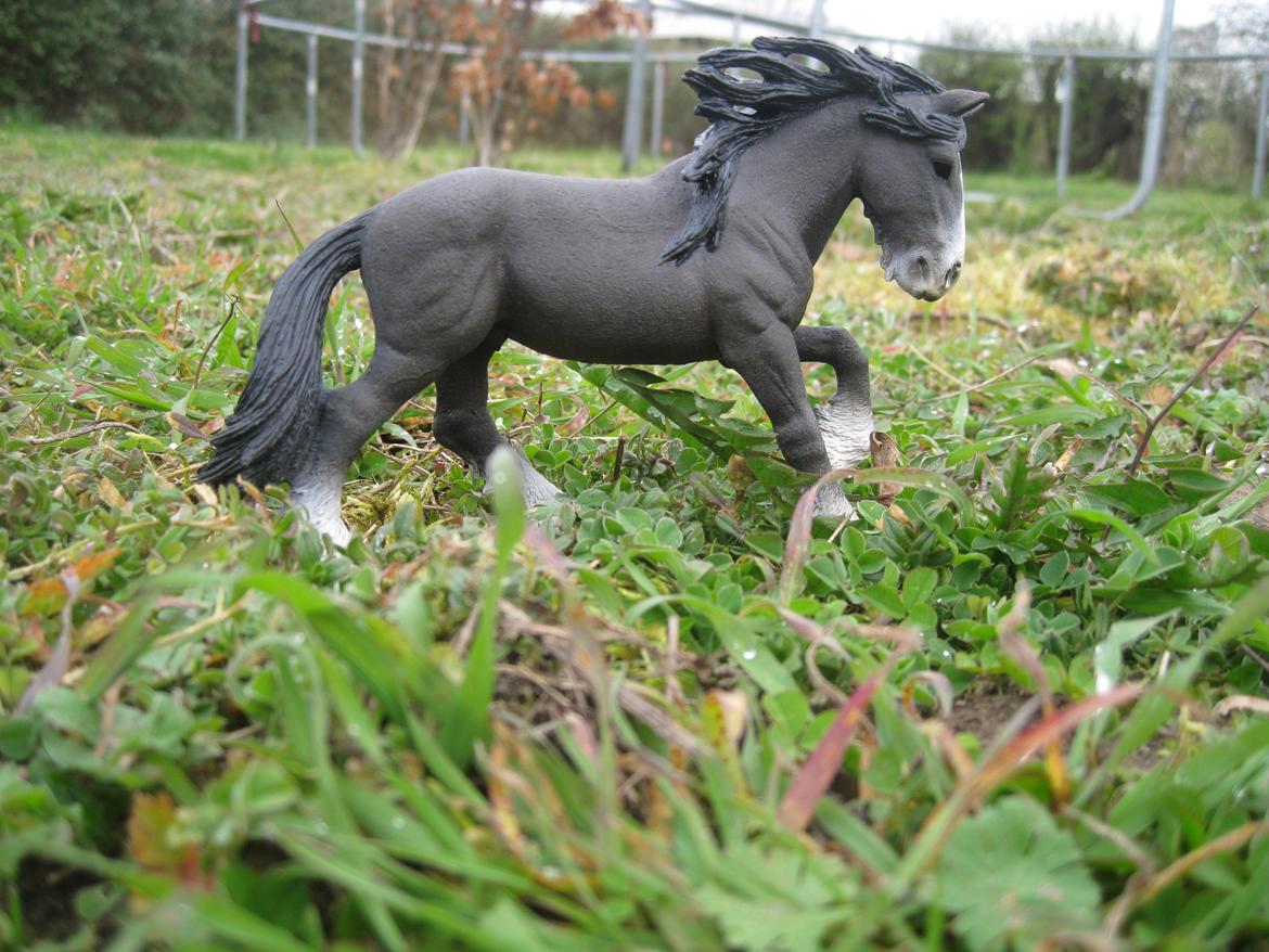 [Schleich] Shire Volume - Volume på græs fold. billede 10