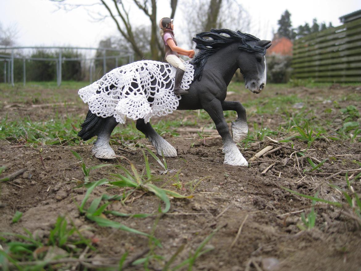 [Schleich] Shire Volume - Mig & Volume øver til store heste dag næste år 2014. billede 12