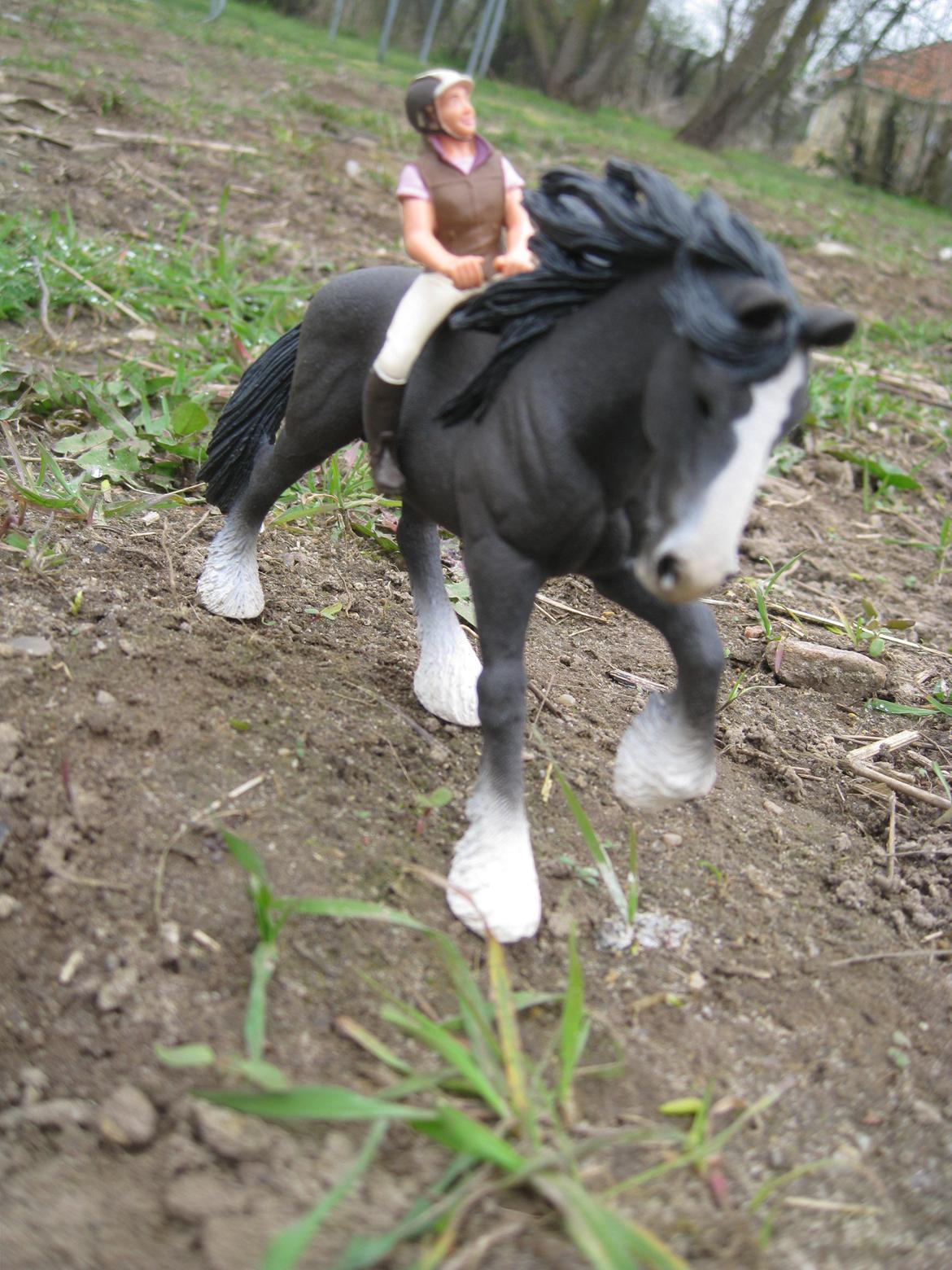 [Schleich] Shire Volume - Jeg rider uden noget på Volume. billede 13